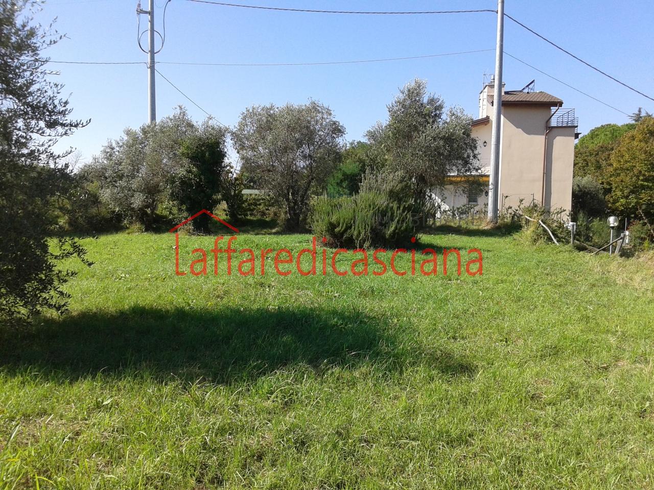 immagine annuncio 4 di 8