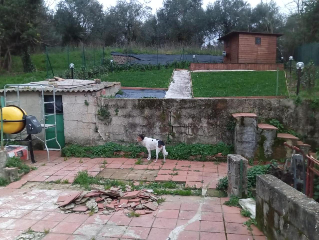 immagine annuncio 14 di 15