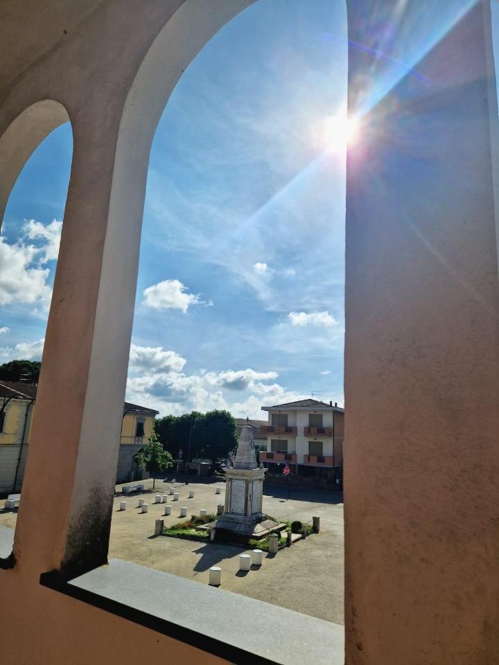 immagine annuncio 10 di 14