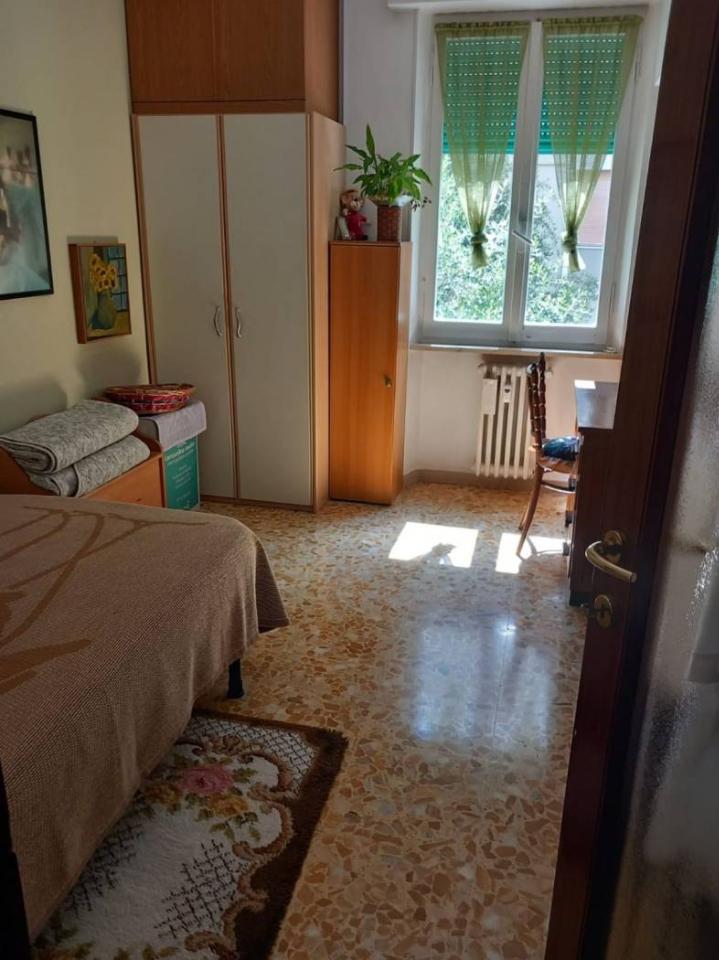 immagine annuncio 7 di 12