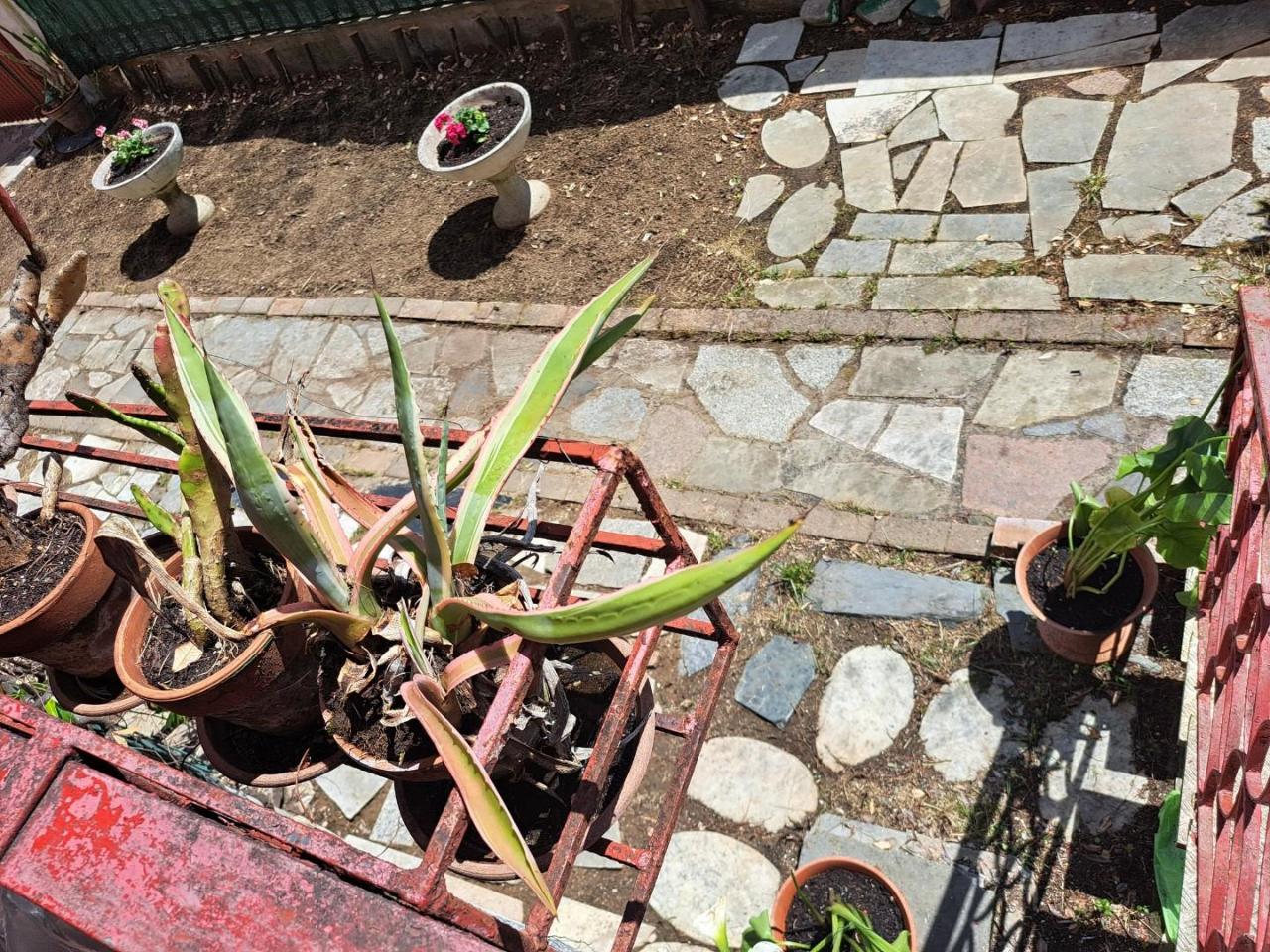 immagine annuncio 12 di 13