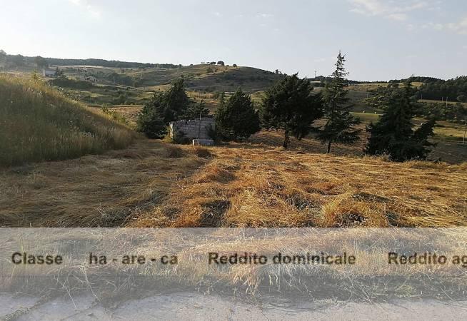 Terreno agricolo in vendita a Savoia Di Lucania