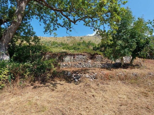 Landhaus in Santa Caterina, Maratea - Foto 1