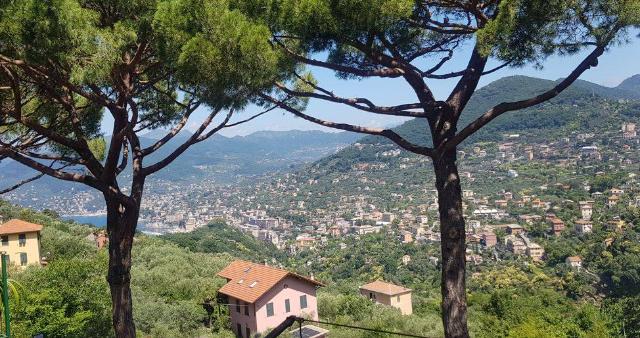 Wohnung in Via Franco Molfino 83, Camogli - Foto 1