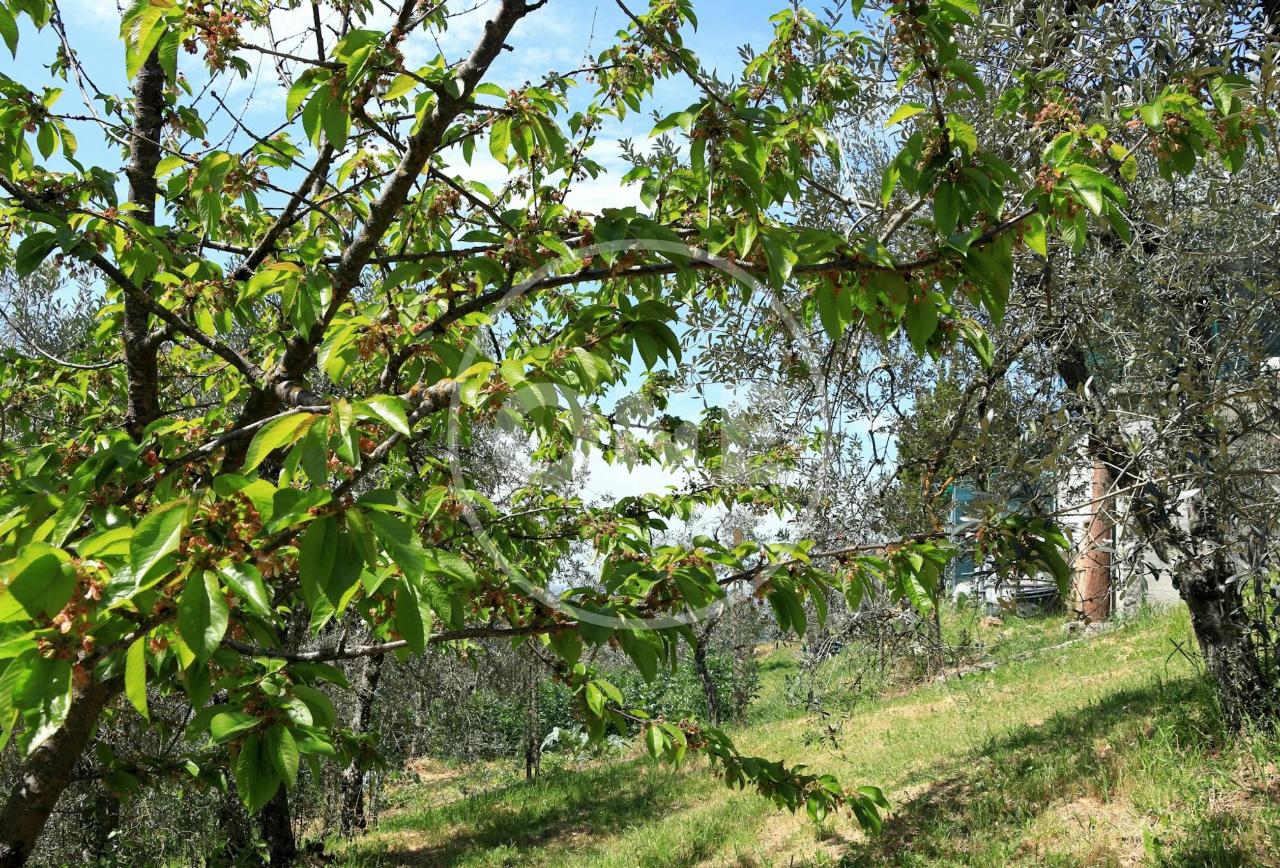 immagine annuncio 6 di 13