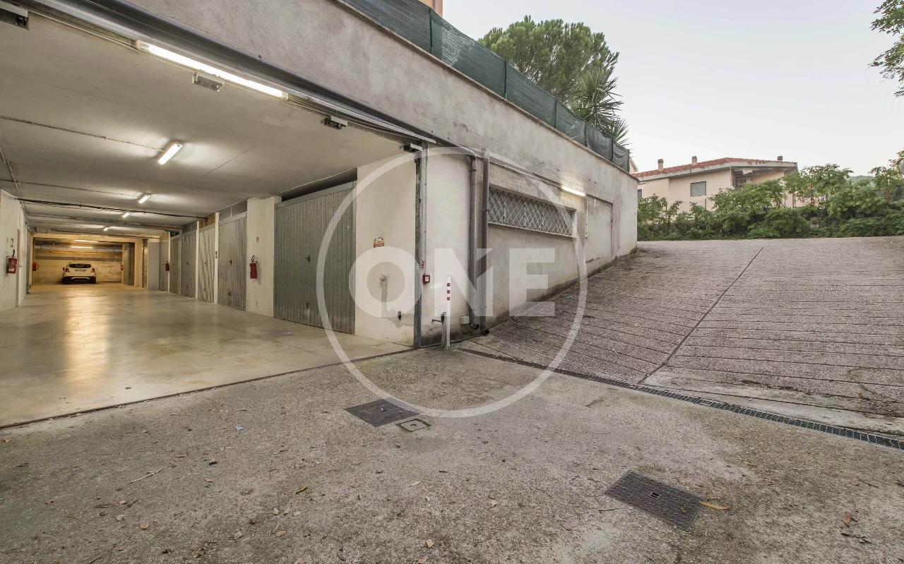 immagine annuncio 5 di 12