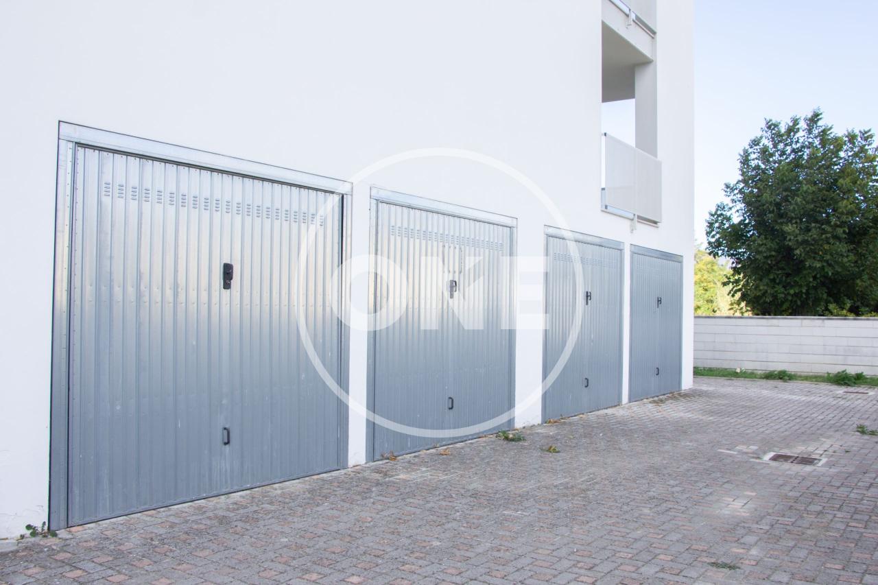 immagine annuncio 12 di 14