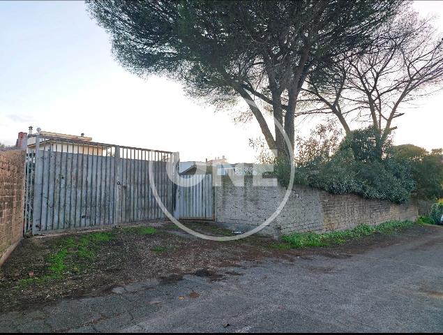 insertion image