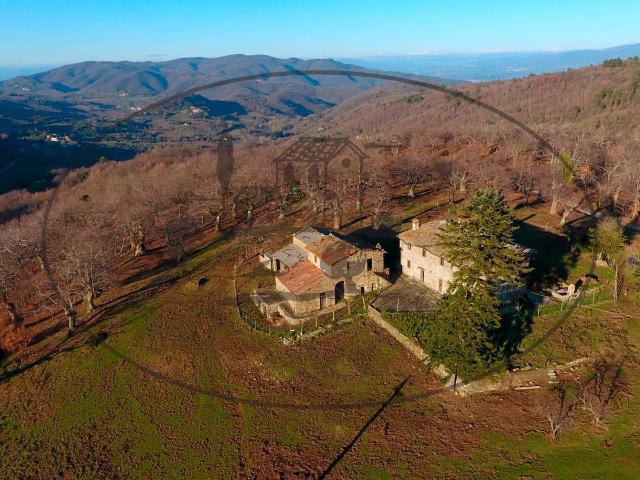 Landhaus in Via Case Sparse, Greve in Chianti - Foto 1