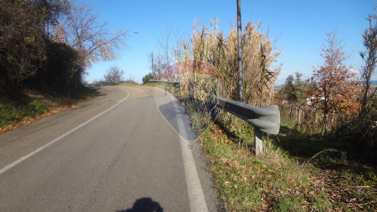 immagine annuncio 10 di 12
