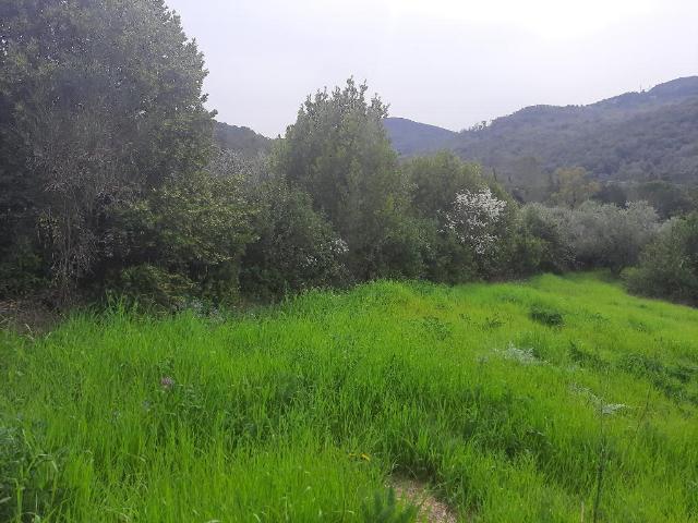 Terreno agricolo, Livorno - Foto 1