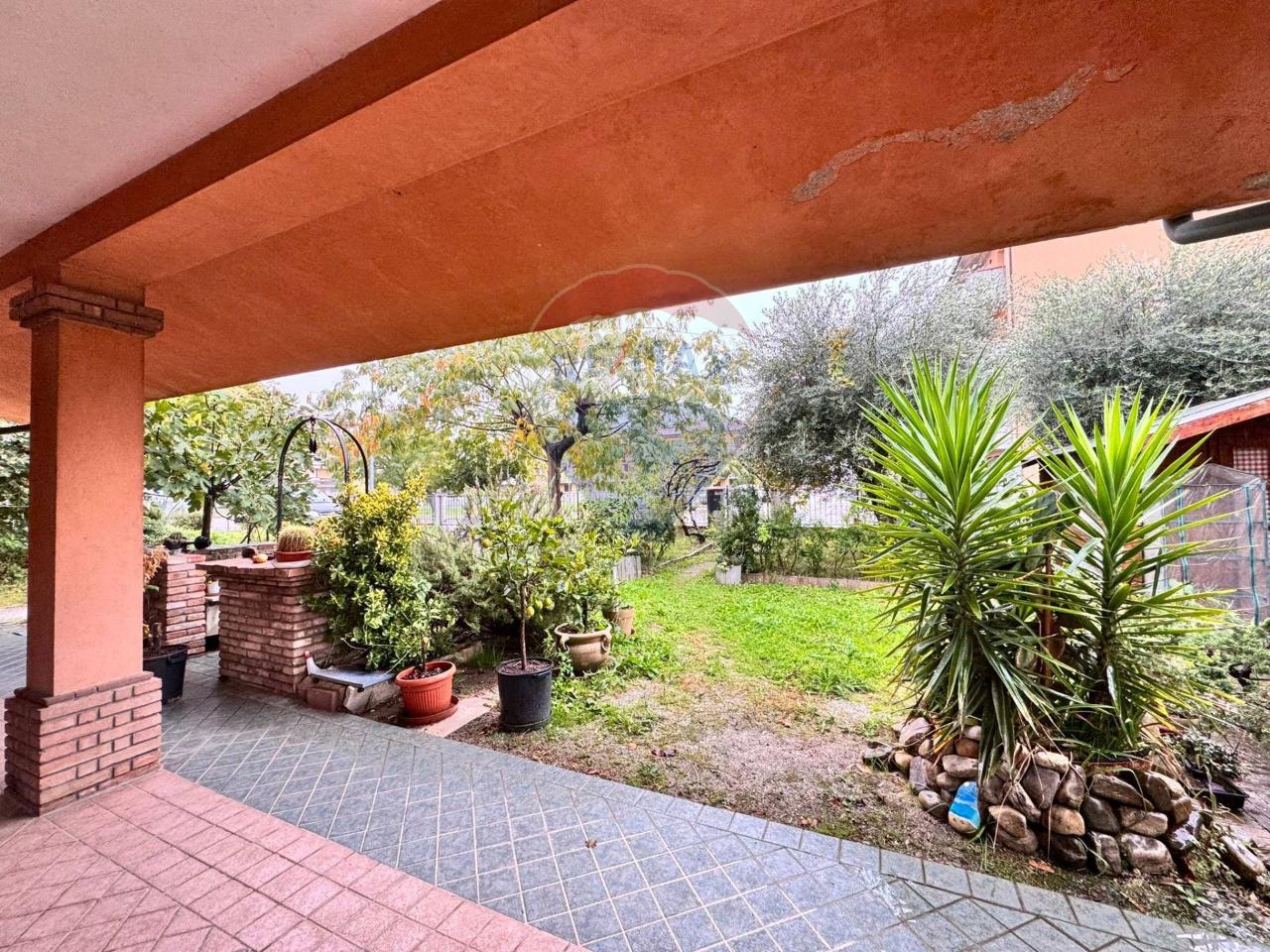 immagine annuncio 2 di 14