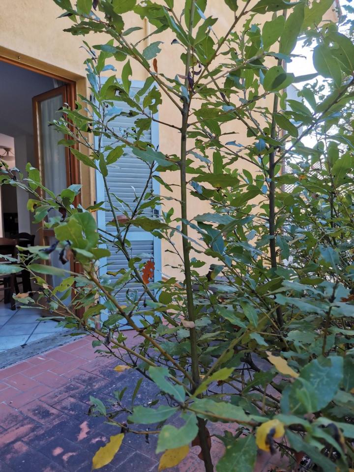 immagine annuncio 10 di 13