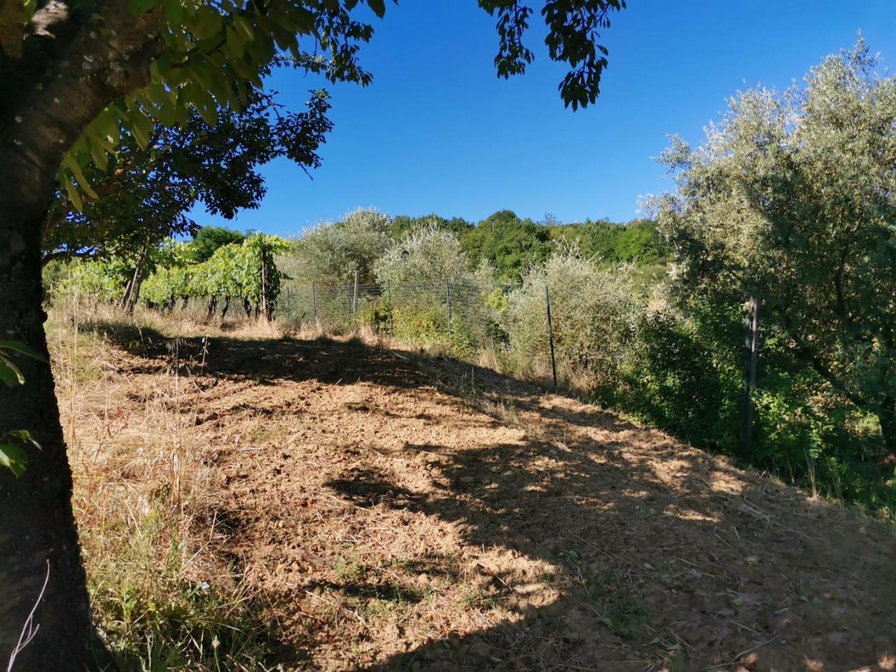 immagine annuncio 9 di 14