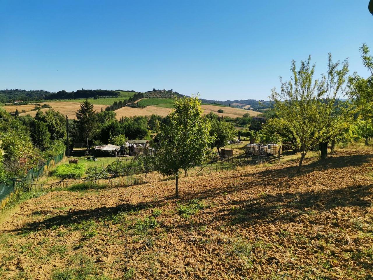 immagine annuncio 12 di 14