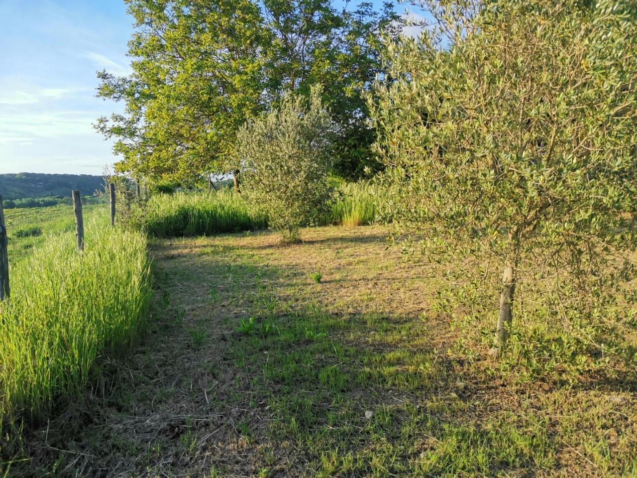 immagine annuncio 2 di 14