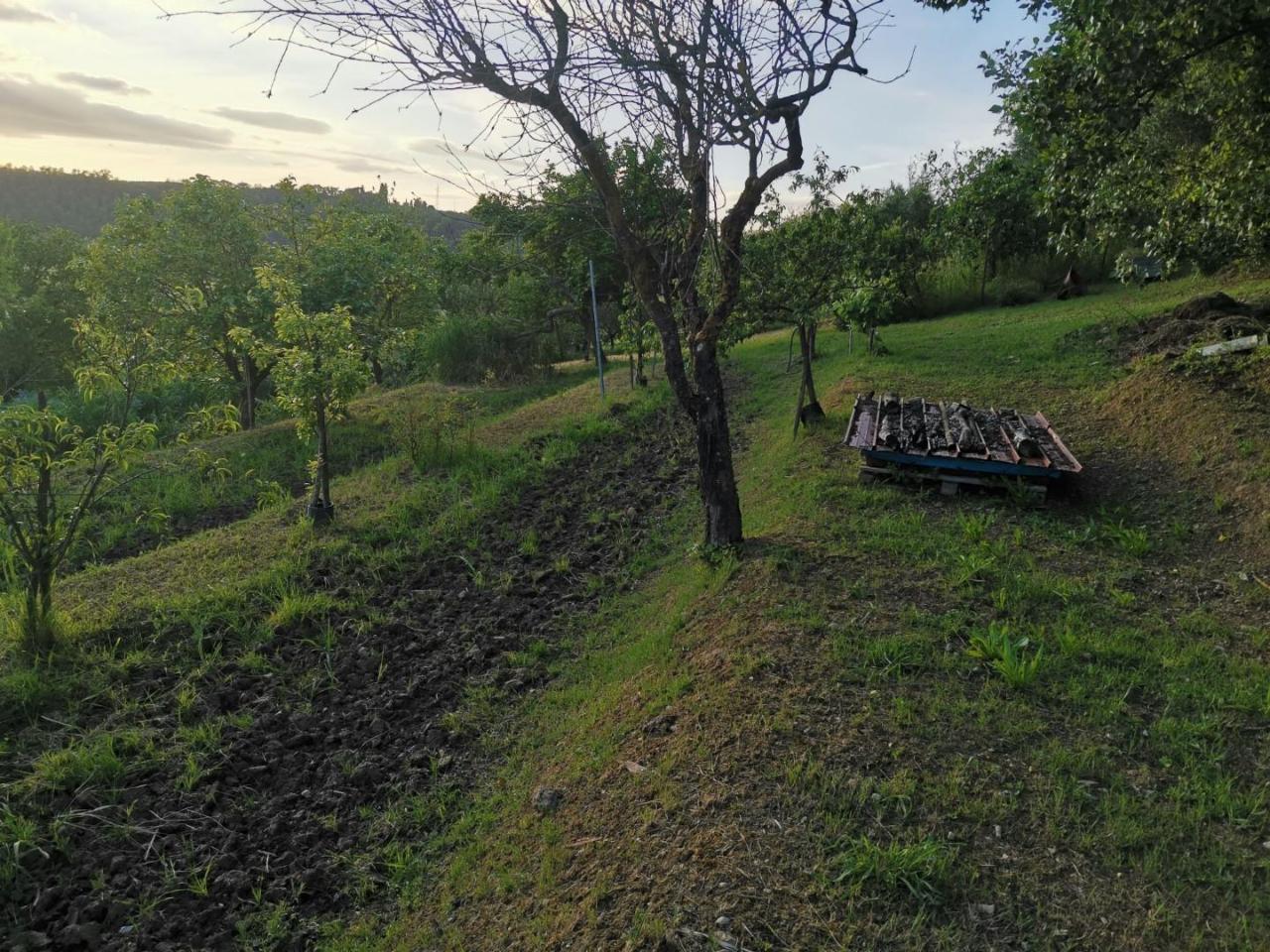 immagine annuncio 4 di 14