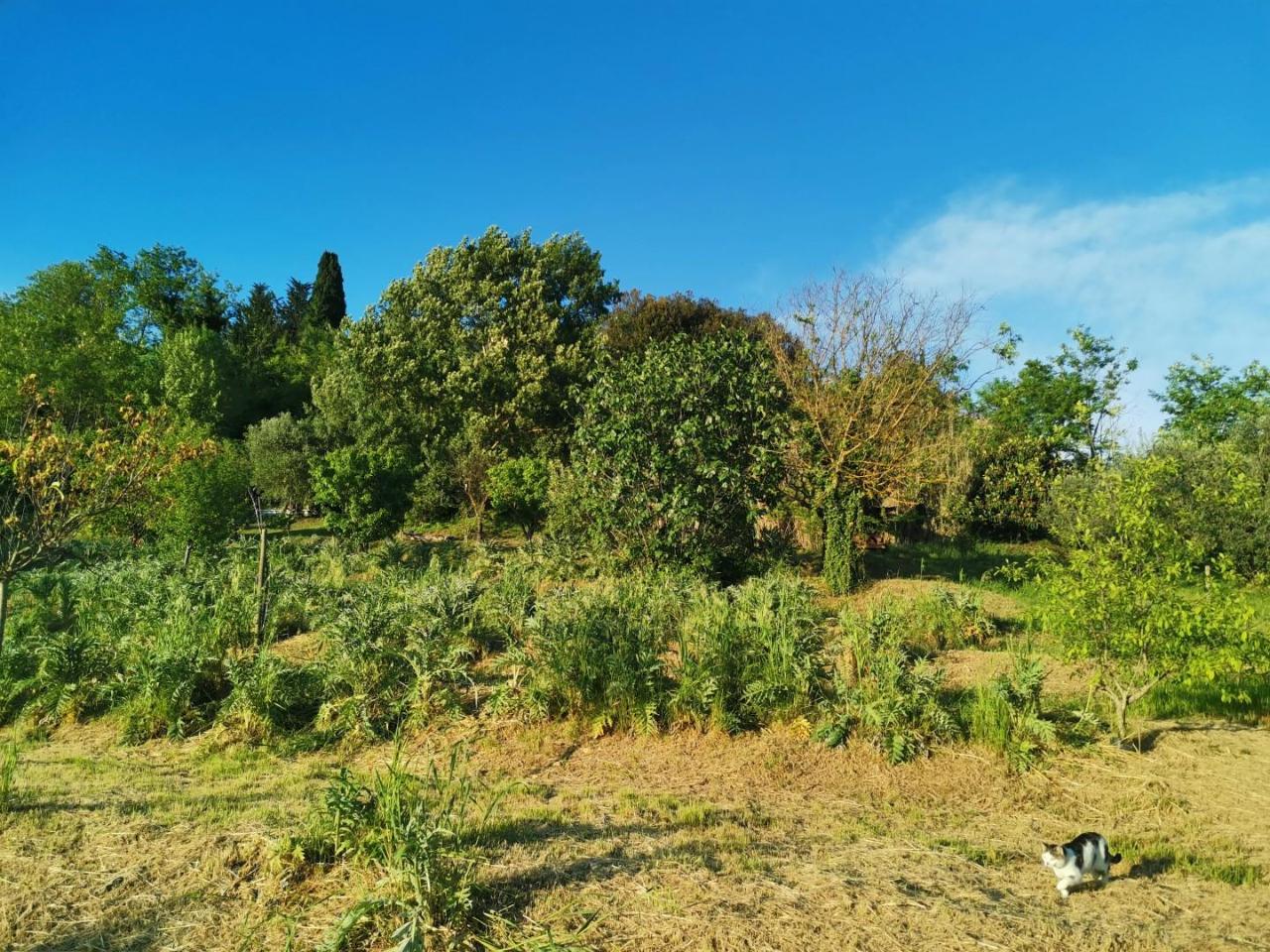 immagine annuncio 1 di 14