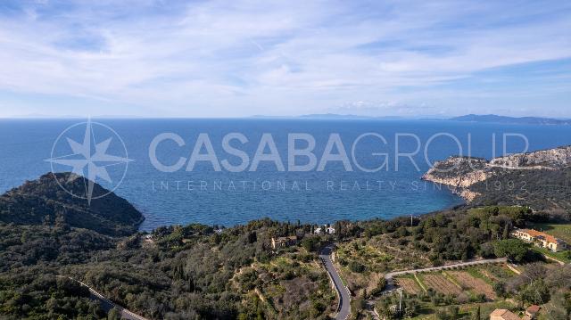 Detached house in Olivastri di Cala Moresca, Monte Argentario - Photo 1