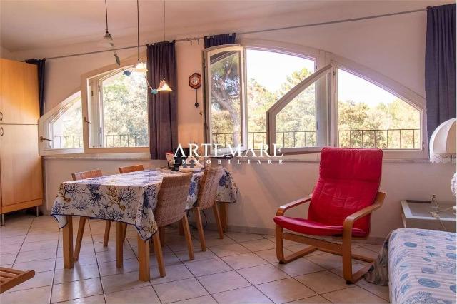 3-room flat in Via Magliano, 60, Massa - Photo 1