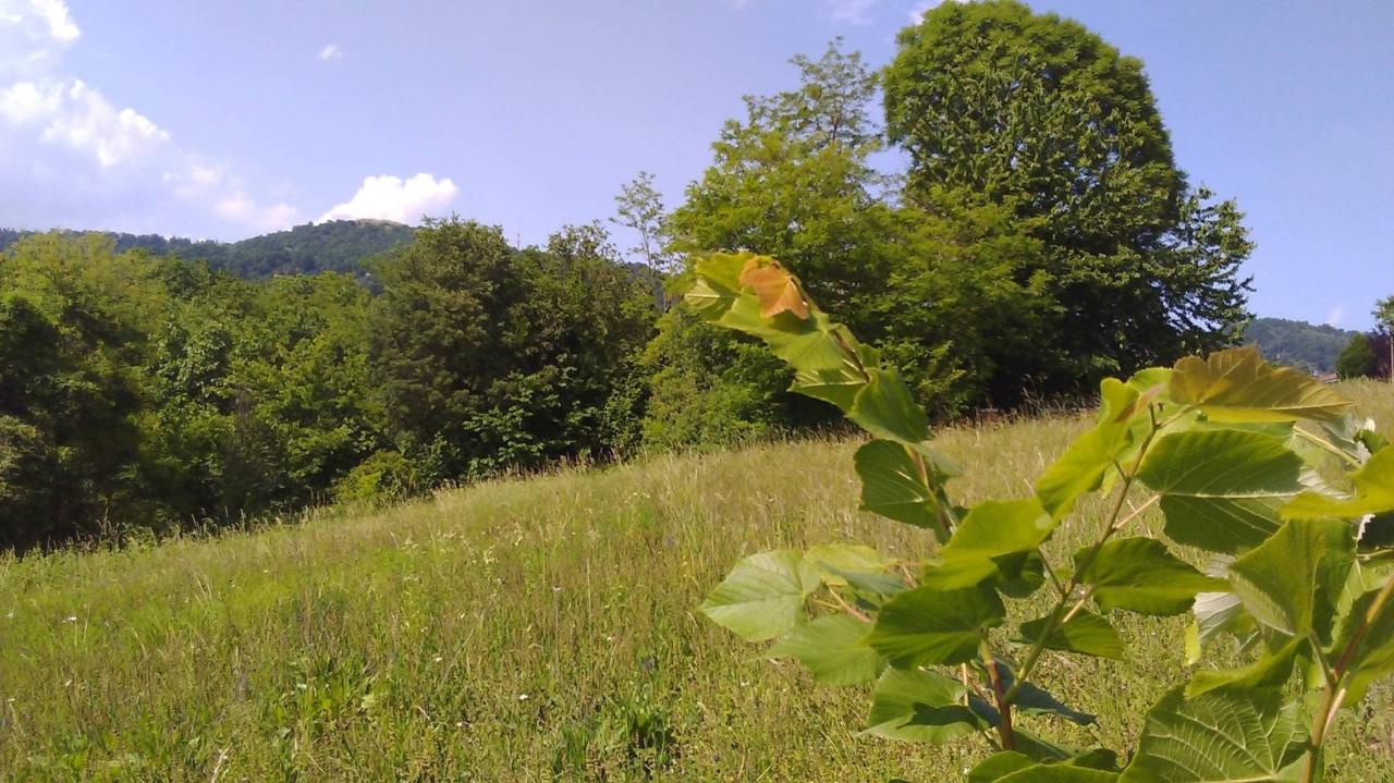 immagine annuncio 8 di 13