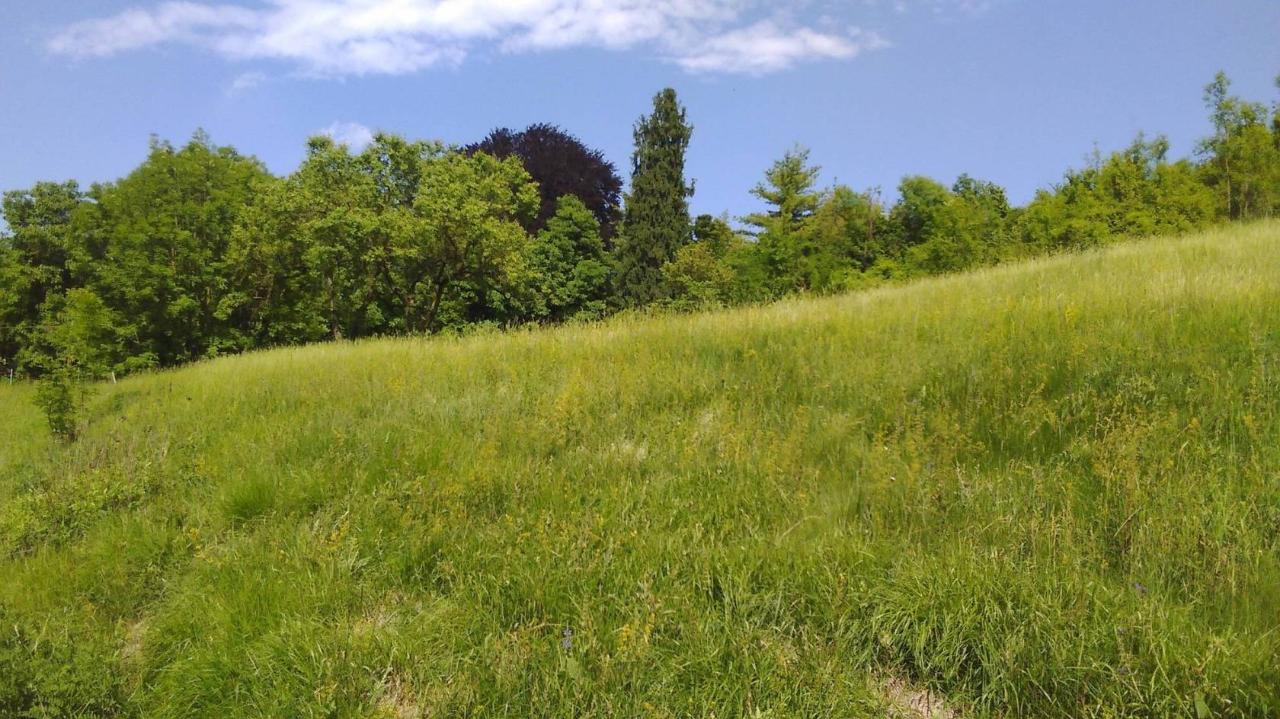 immagine annuncio 11 di 13
