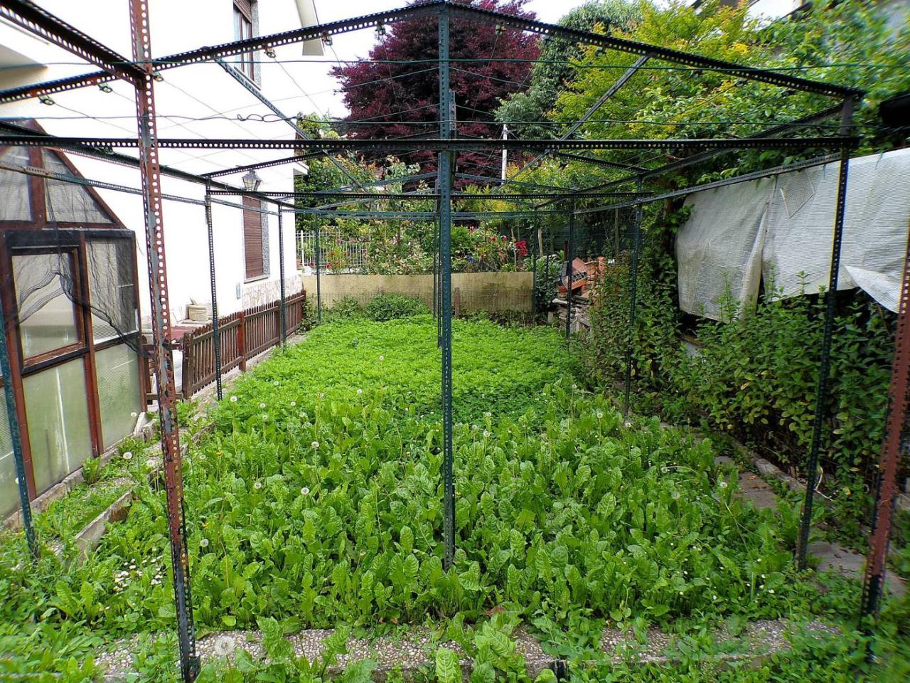 immagine annuncio 11 di 15