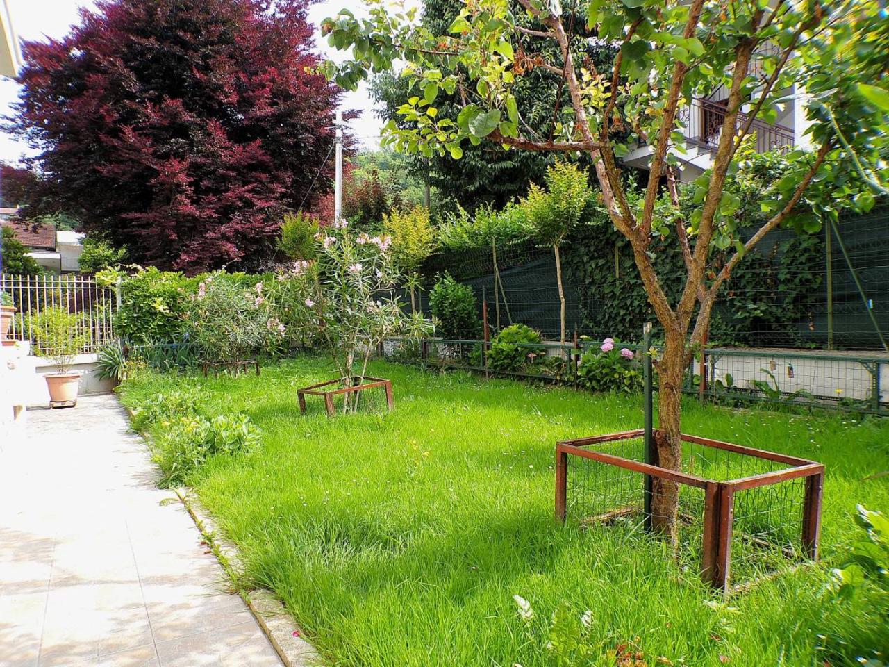 immagine annuncio 13 di 15