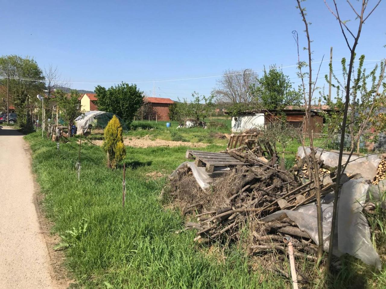 immagine annuncio 10 di 15