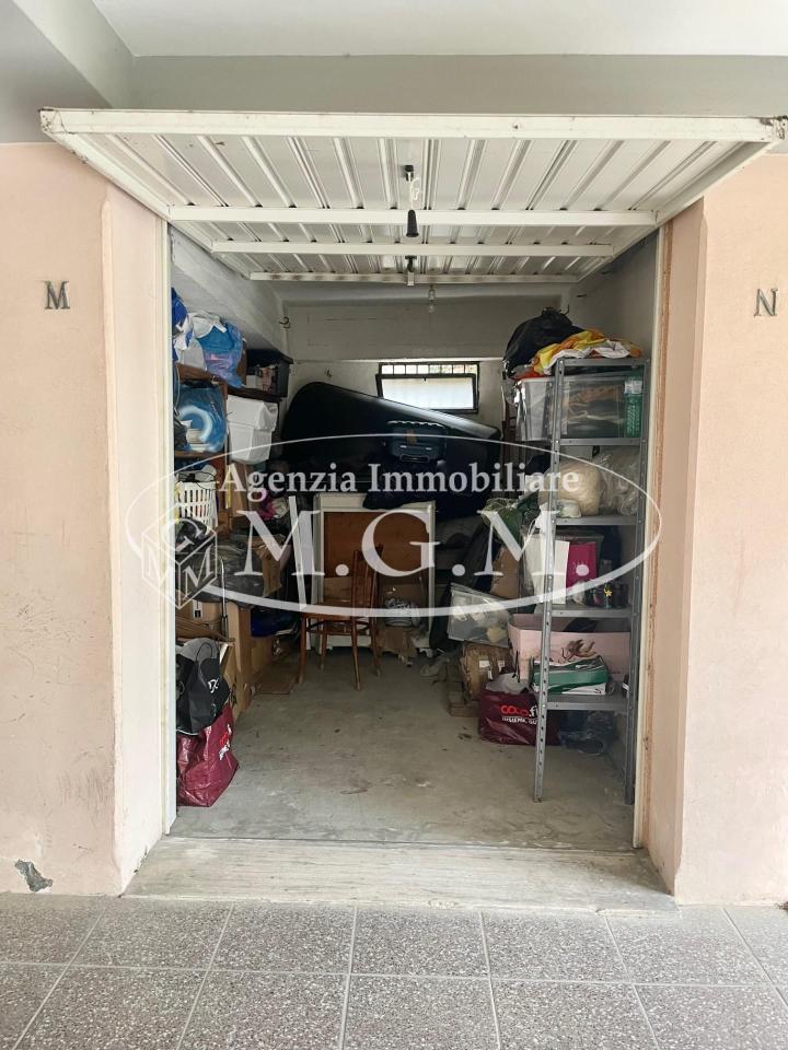 immagine annuncio 12 di 13