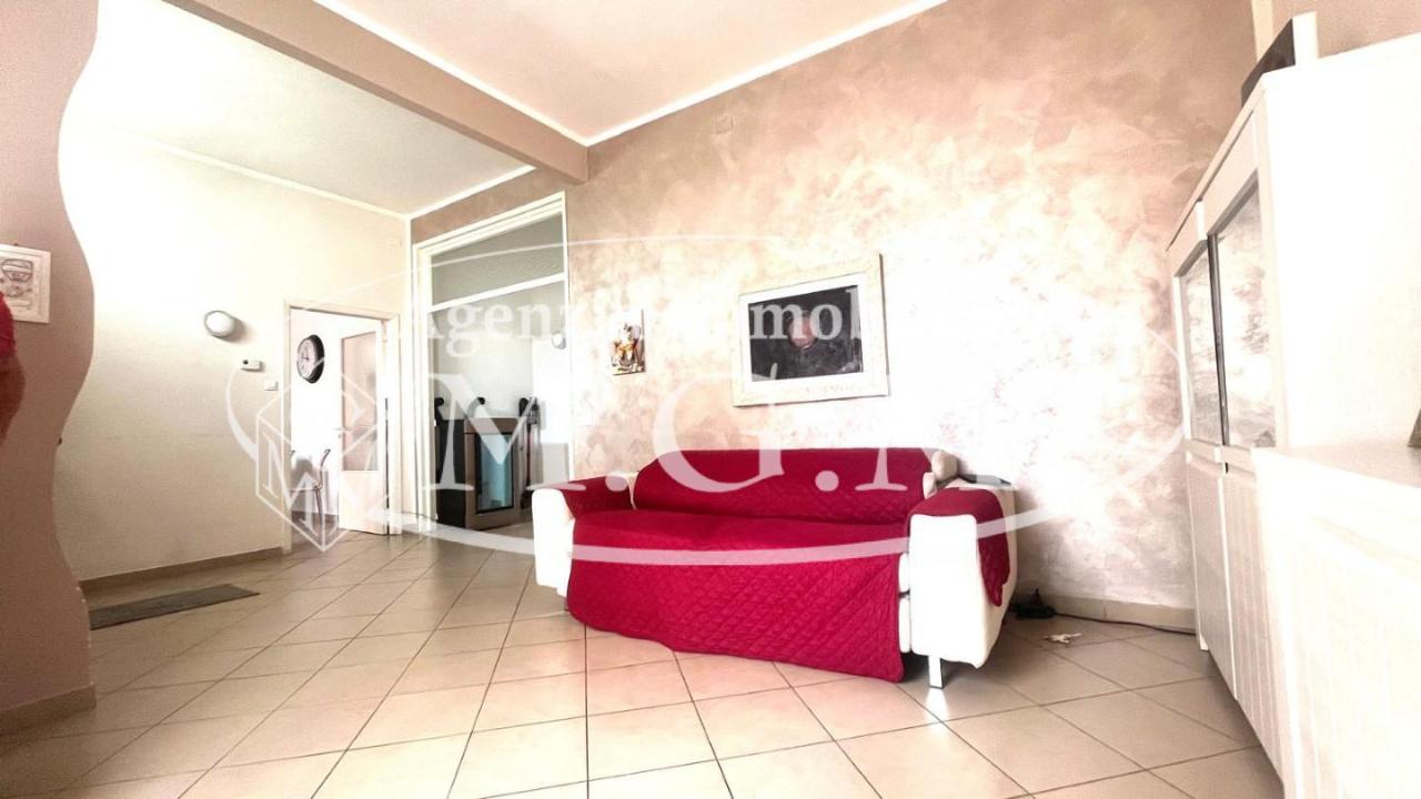 immagine annuncio 0 di 15