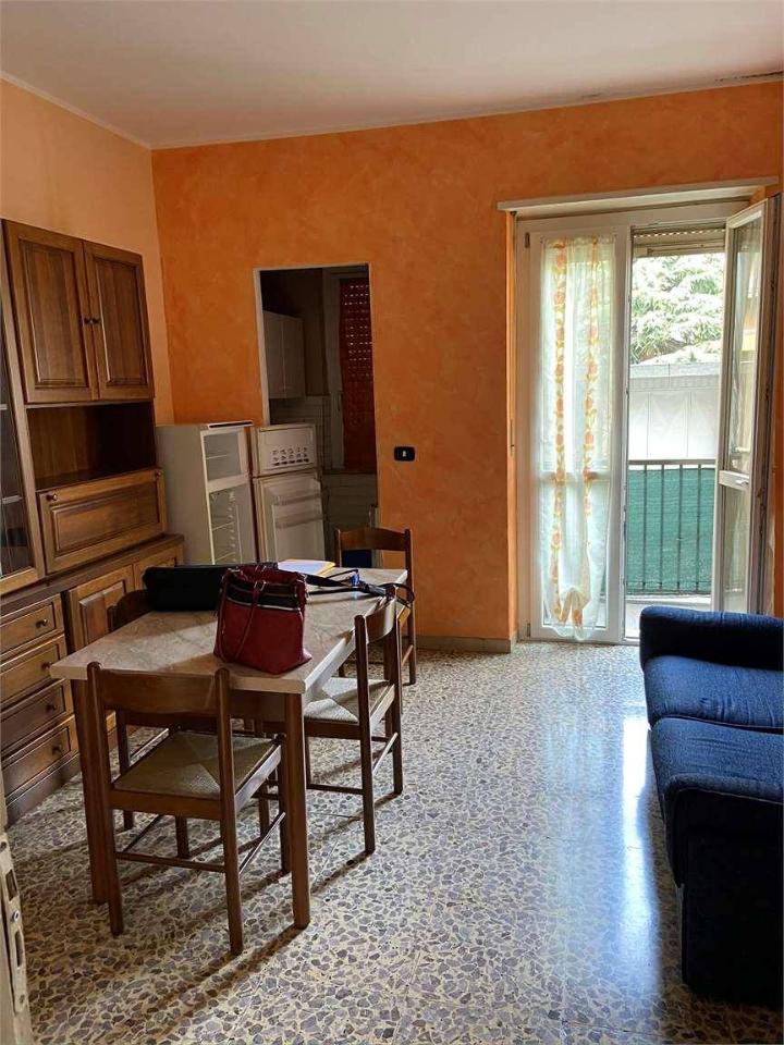 immagine annuncio 3 di 8
