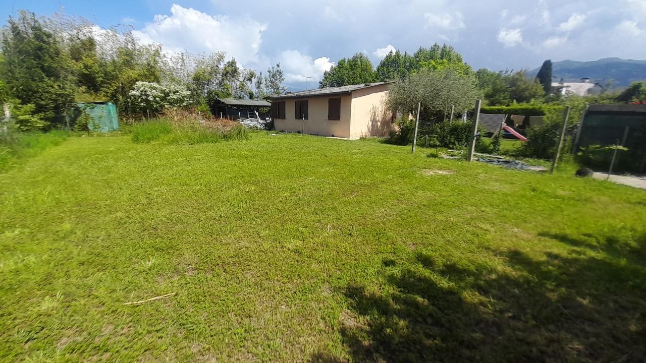 immagine annuncio 2 di 7