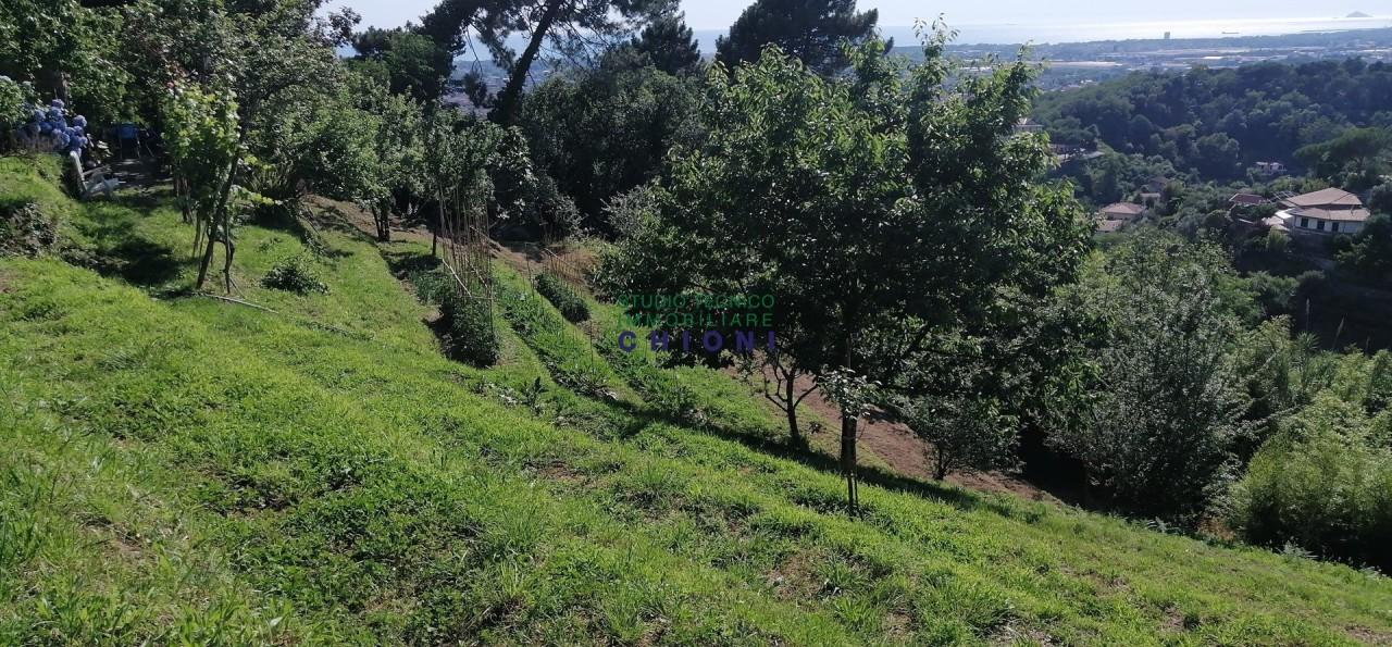 immagine annuncio 7 di 9