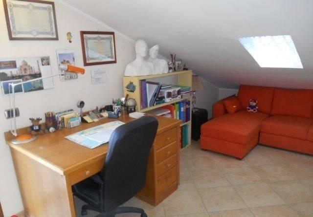 immagine annuncio 9 di 14