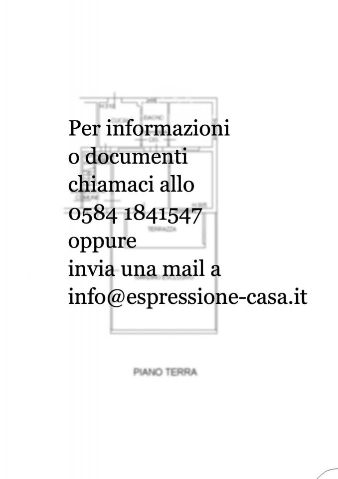 Negozio in Viale Ermenegildo Pistelli, Camaiore, {3} - Planimetria 1
