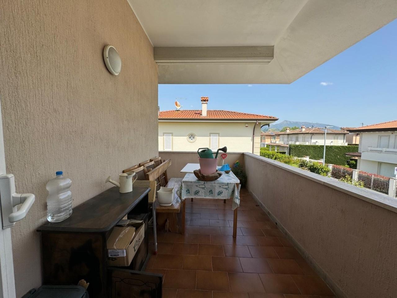 immagine annuncio 2 di 14