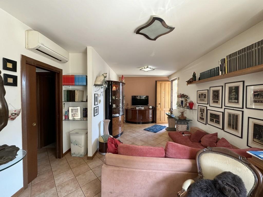 immagine annuncio 3 di 14