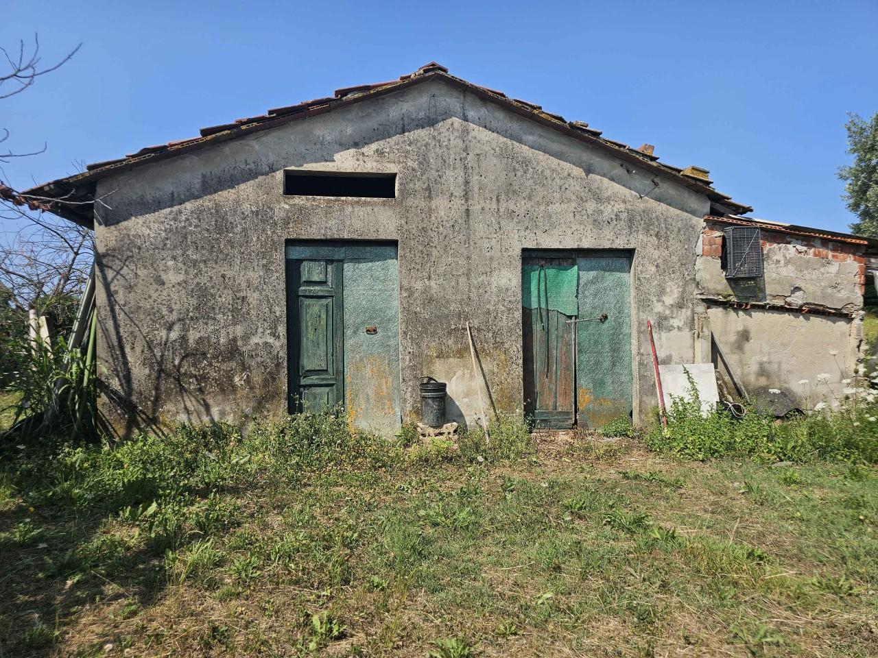 immagine annuncio 3 di 8