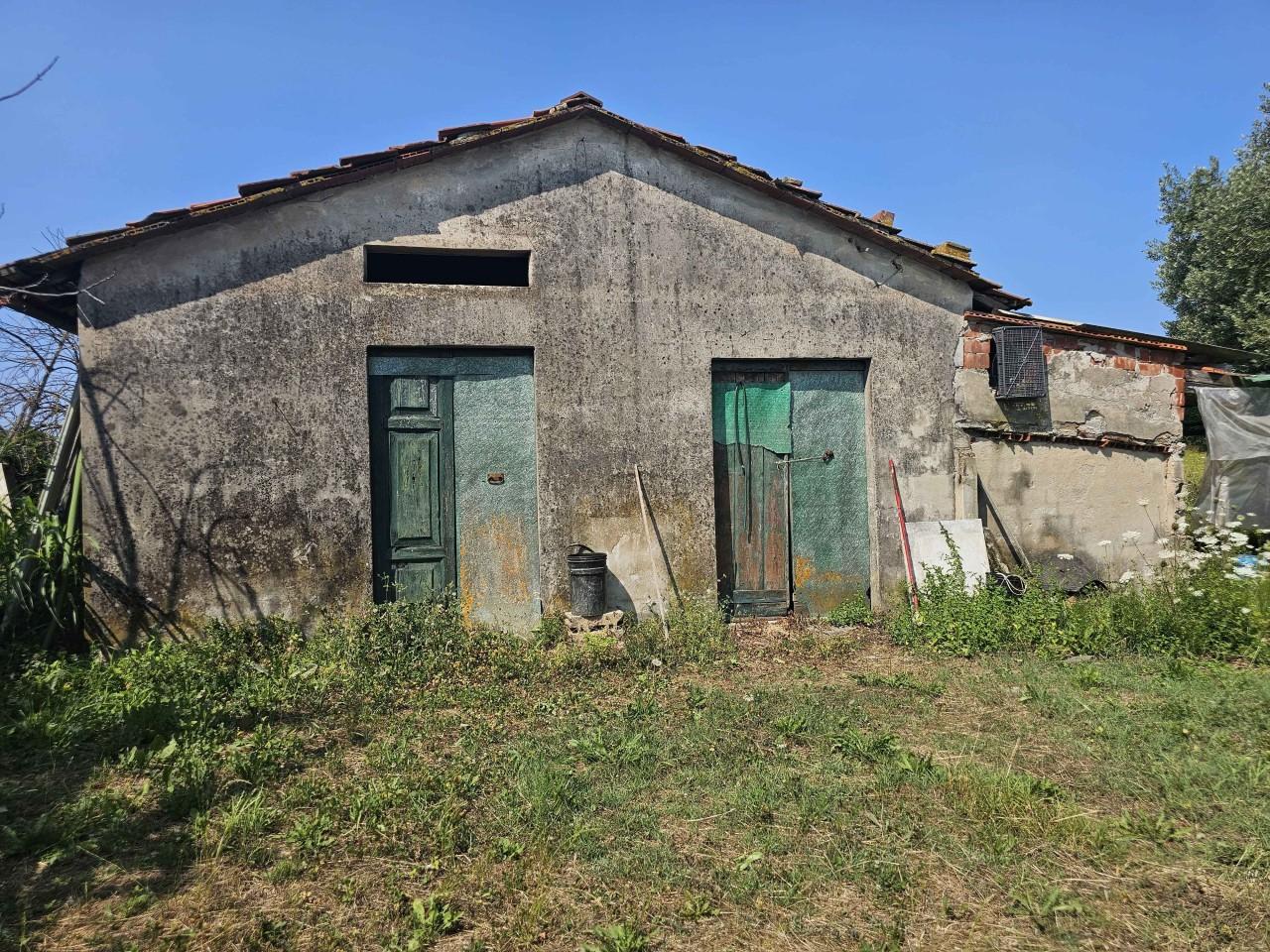 immagine annuncio 4 di 8