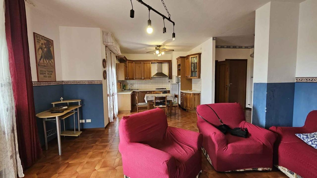 immagine annuncio 6 di 15