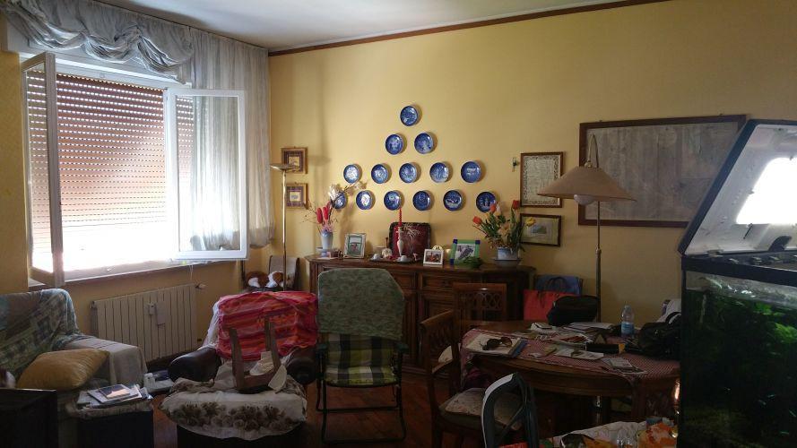 immagine annuncio 9 di 12
