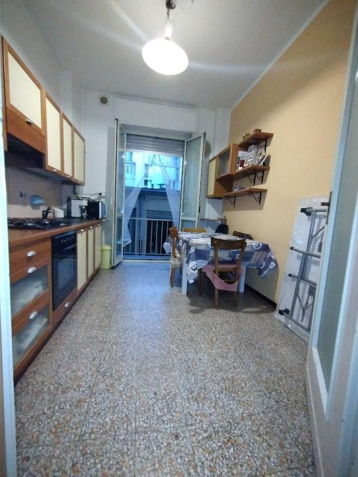 immagine annuncio 11 di 14