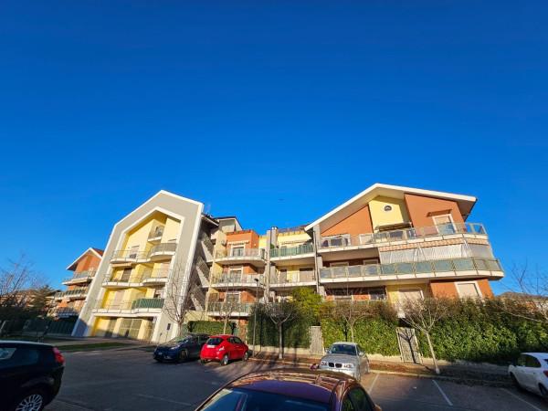 immagine annuncio 6 di 15