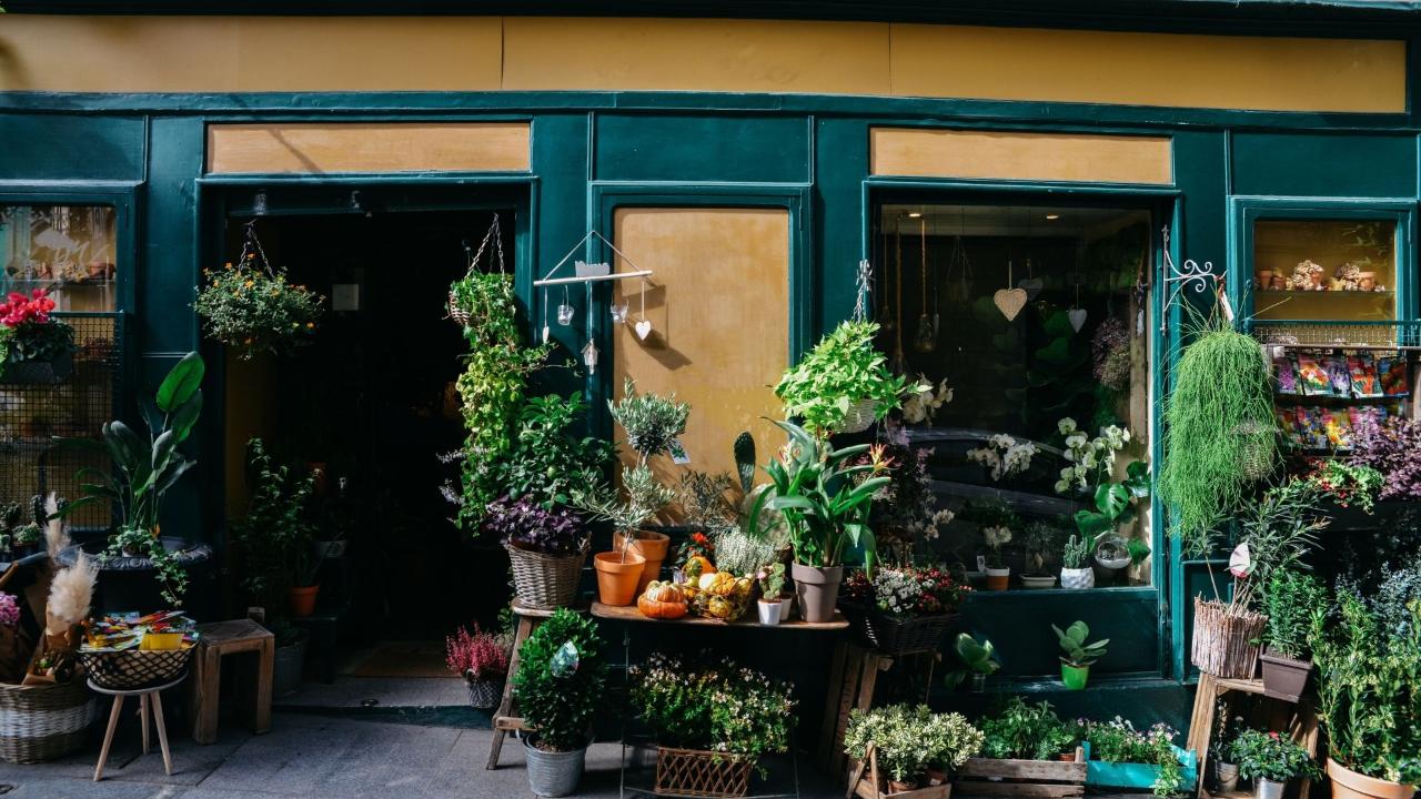 Scommesse in Vico del Centro, Genova, {3} - Foto 1
