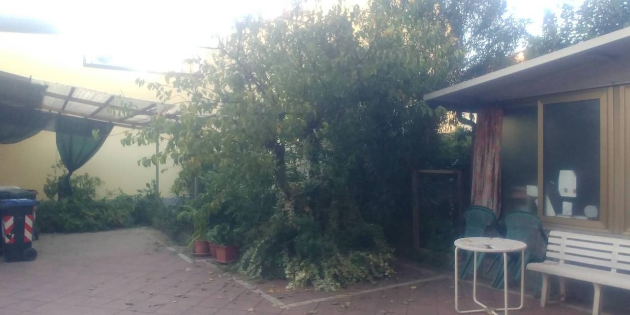 immagine annuncio 7 di 8