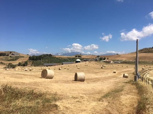 Terreno agricolo in Contrada Ciolino, Resuttano - Planimetria 1