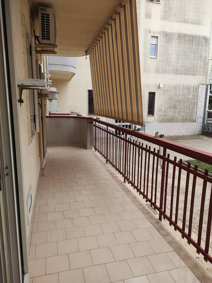 immagine annuncio 11 di 14