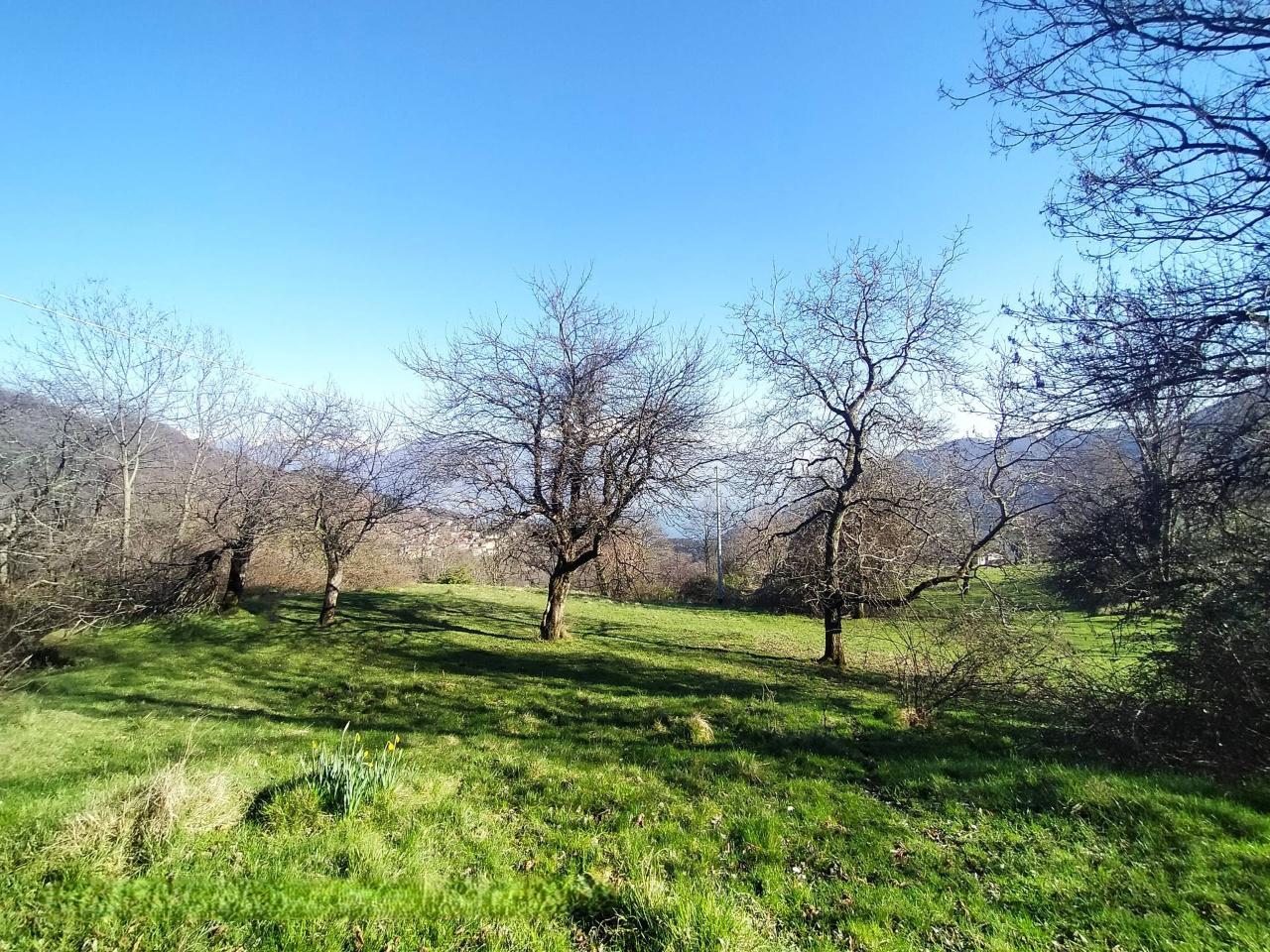 immagine annuncio 3 di 12