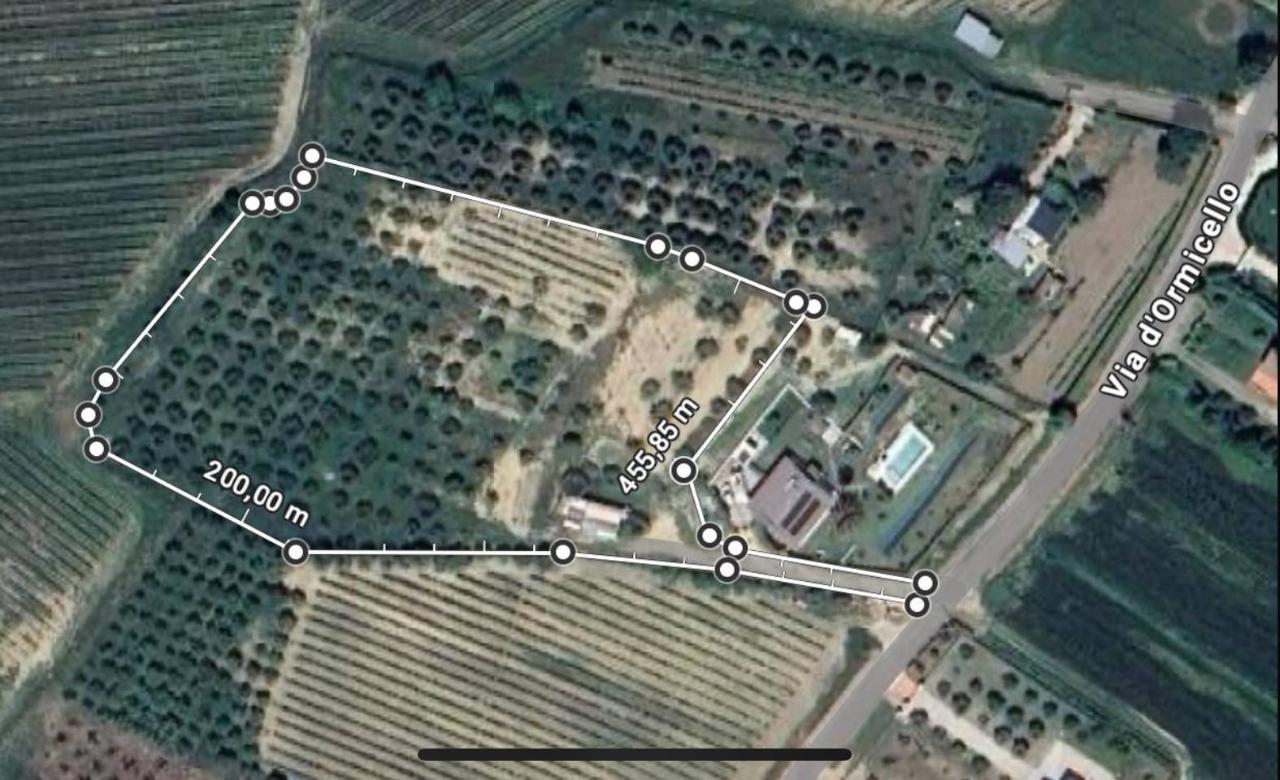 immagine annuncio 4 di 13